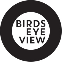 birdseyeview-logo